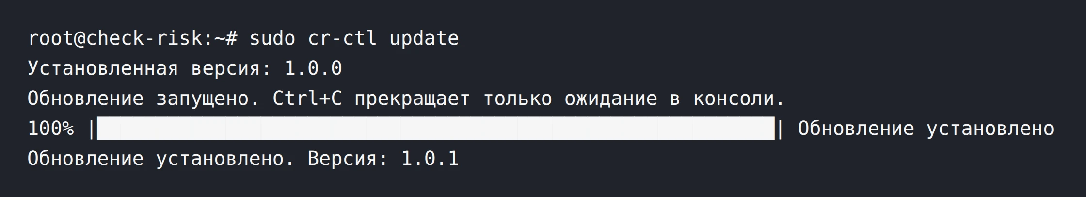 Шаг 4. 100% &mdash; Обновление установлено. Обновление установлено. Версия: 1.0.1.