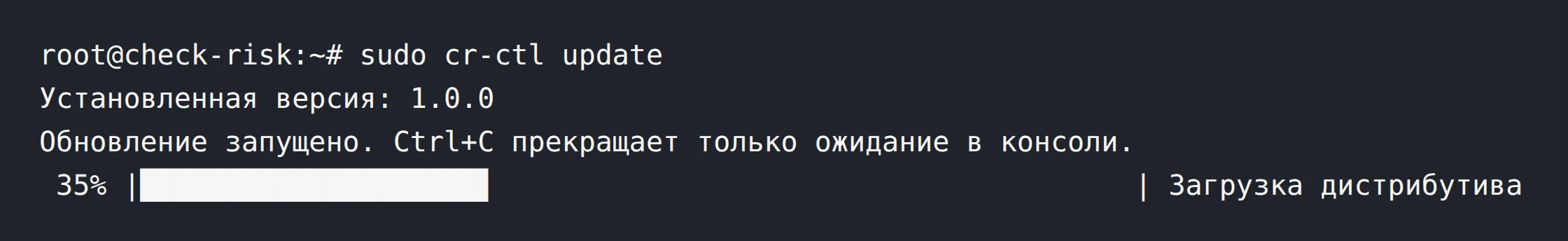 Шаг 2. Консоль после sudo cr-ctl update: установлена версия 1.0.0; обновление запущено. Ctrl+C прекращает только ожидание в консоли. 35% &mdash; Загрузка дистрибутива.