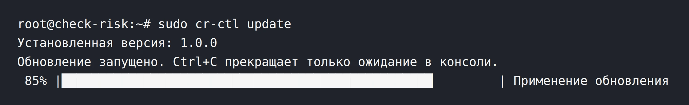 Шаг 3. Ход обновления: 85% &mdash; Применение обновления. Ctrl+C прекращает только ожидание в консоли.