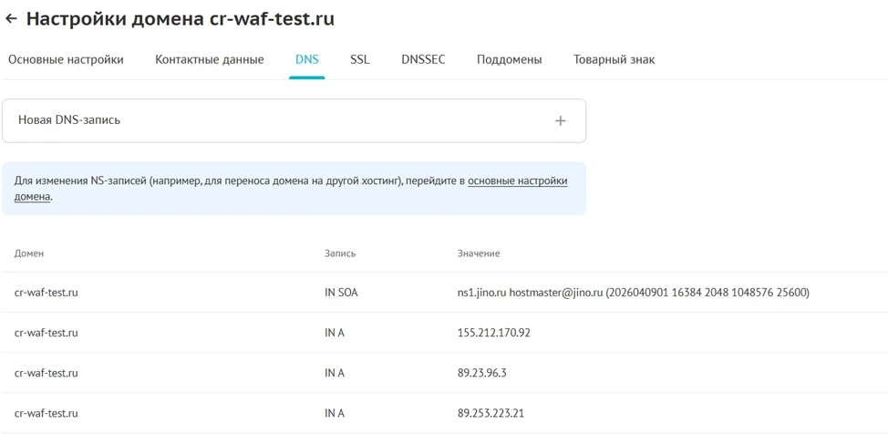 A записи домена в панели управления DNS