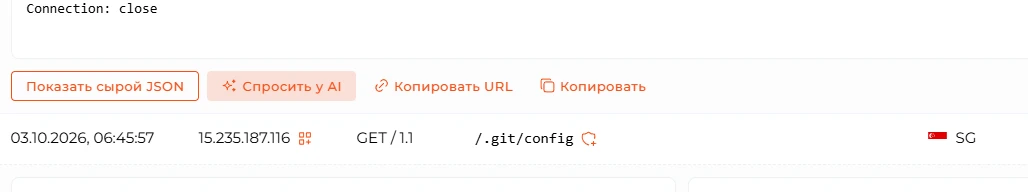 Состояние после скрытия JSON: отображается кнопка &laquo;Показать сырой JSON&raquo;